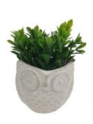 Kwiaty w doniczce ceramicznej
