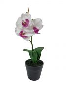 Sztuczny storczyk biały 32 cm