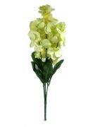 storczyk bukiet 60 cm