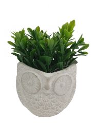 Kwiaty w doniczce ceramicznej