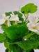 Sztuczne kwiaty w doniczce